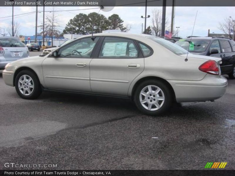 Gold Ash Metallic / Dark Pebble 2007 Ford Taurus SE