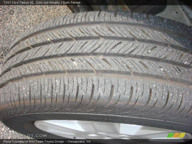 Gold Ash Metallic / Dark Pebble 2007 Ford Taurus SE