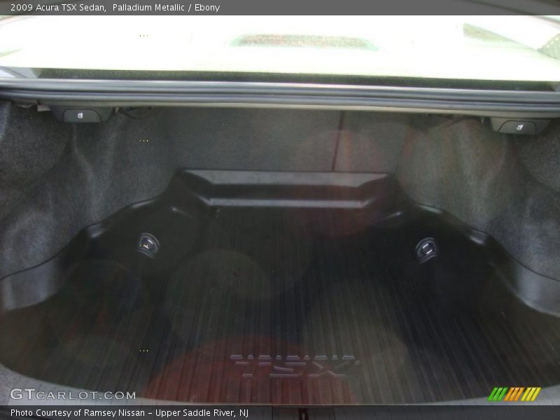 Palladium Metallic / Ebony 2009 Acura TSX Sedan