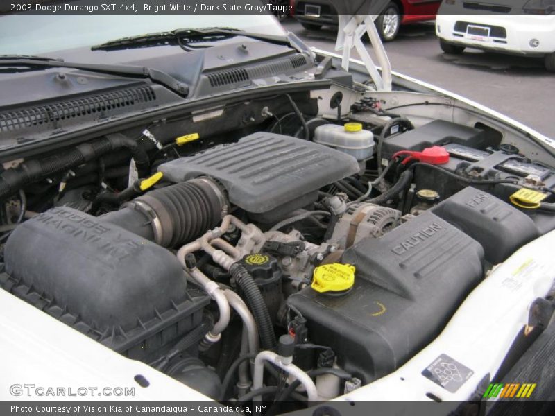 Bright White / Dark Slate Gray/Taupe 2003 Dodge Durango SXT 4x4