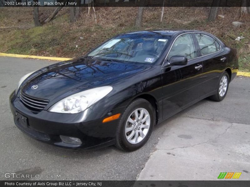 Black Onyx / Ivory 2002 Lexus ES 300