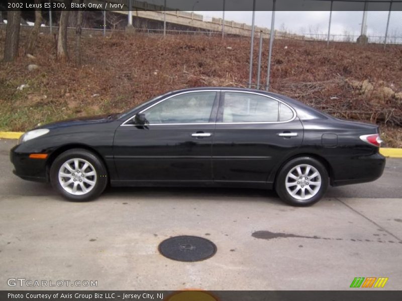 Black Onyx / Ivory 2002 Lexus ES 300