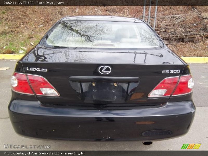 Black Onyx / Ivory 2002 Lexus ES 300