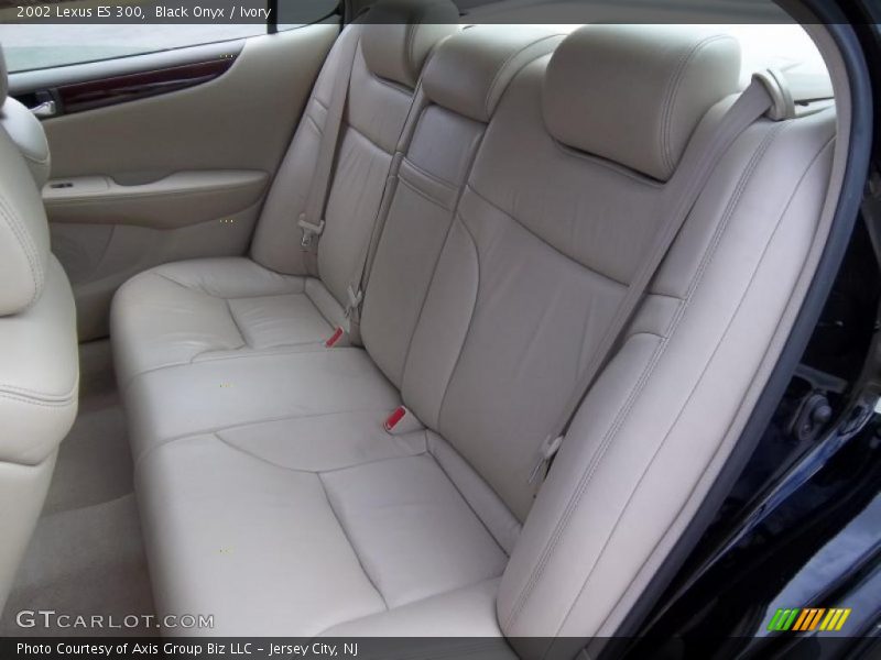 Black Onyx / Ivory 2002 Lexus ES 300