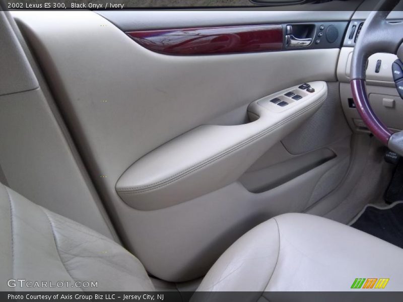 Black Onyx / Ivory 2002 Lexus ES 300