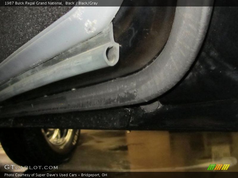 Black / Black/Gray 1987 Buick Regal Grand National