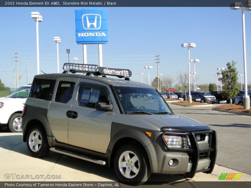 Shoreline Mist Metallic / Black 2003 Honda Element EX AWD
