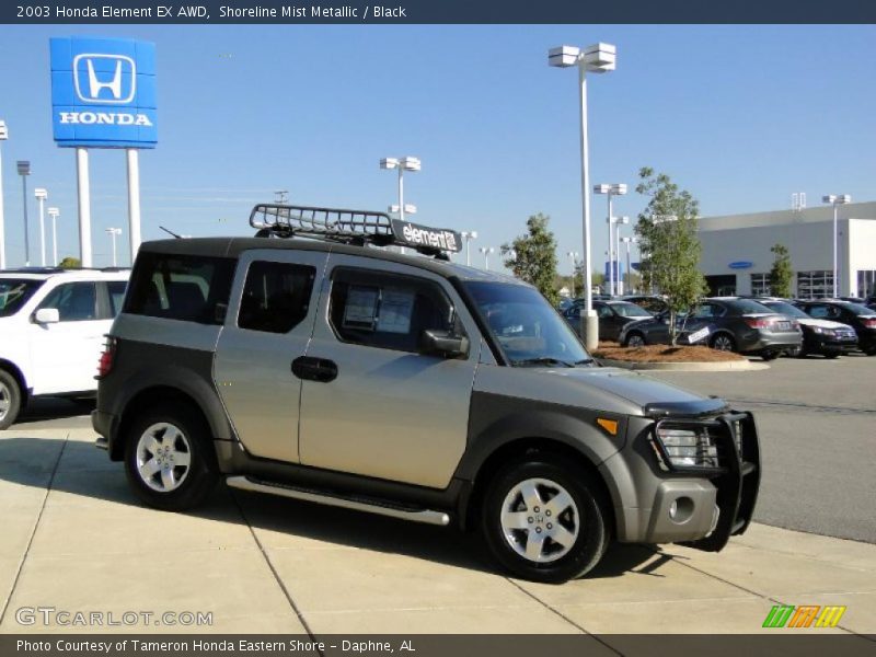 Shoreline Mist Metallic / Black 2003 Honda Element EX AWD