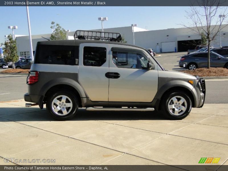 Shoreline Mist Metallic / Black 2003 Honda Element EX AWD