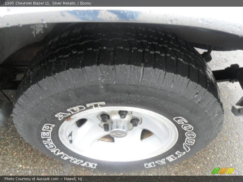 Silver Metallic / Ebony 1995 Chevrolet Blazer LS