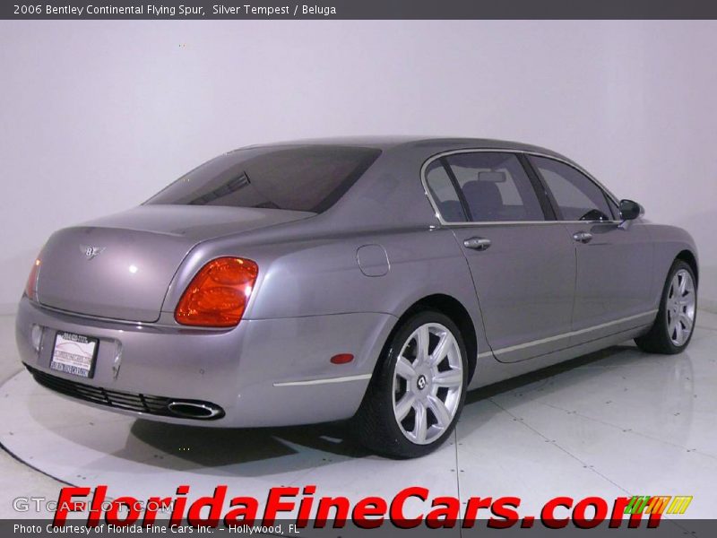 Silver Tempest / Beluga 2006 Bentley Continental Flying Spur