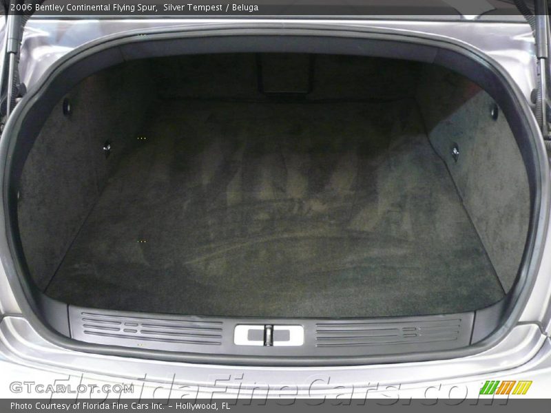 Silver Tempest / Beluga 2006 Bentley Continental Flying Spur