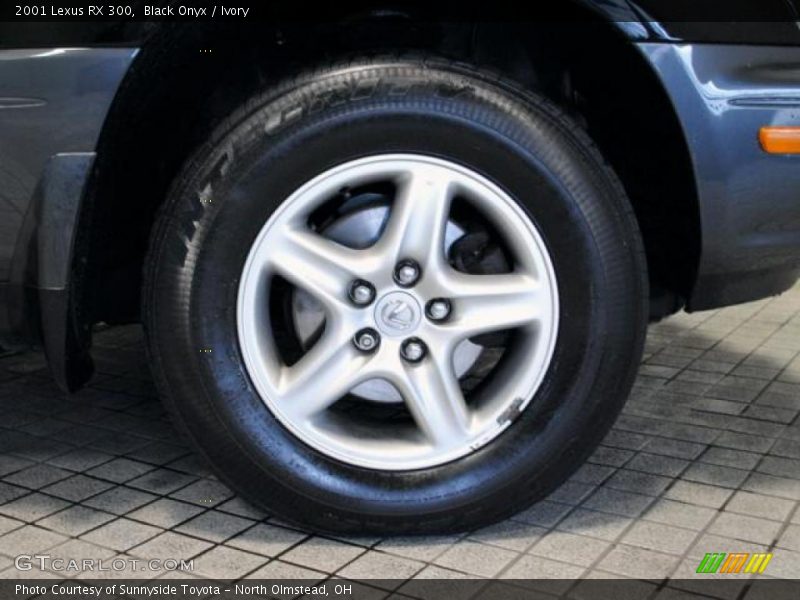 Black Onyx / Ivory 2001 Lexus RX 300