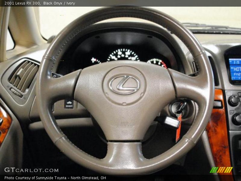 Black Onyx / Ivory 2001 Lexus RX 300