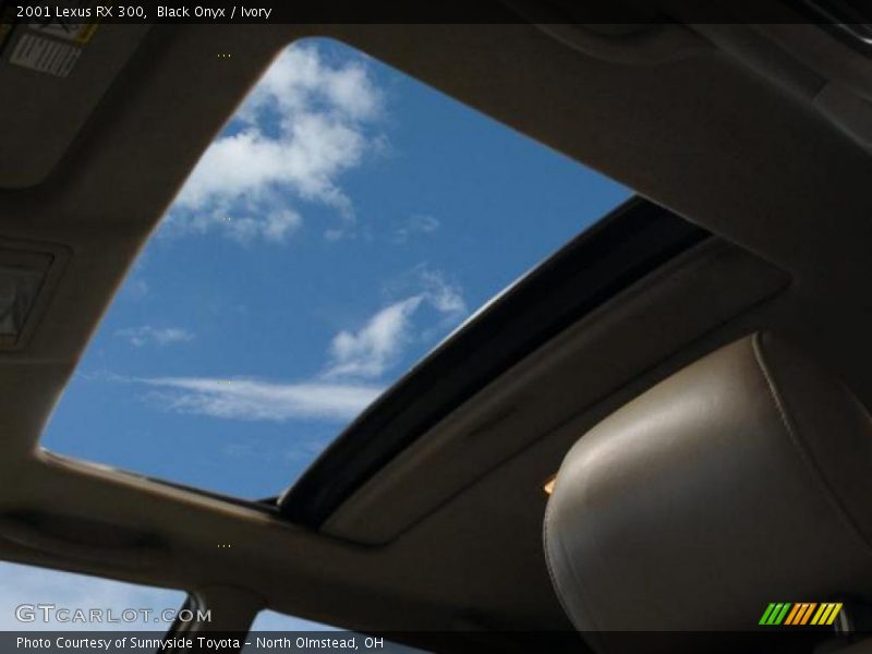Black Onyx / Ivory 2001 Lexus RX 300
