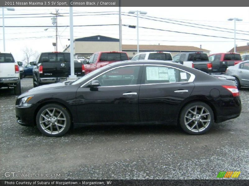 Crimson Black / Charcoal 2011 Nissan Maxima 3.5 SV Sport