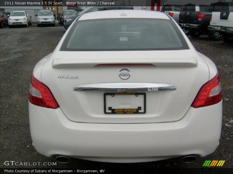 Winter Frost White / Charcoal 2011 Nissan Maxima 3.5 SV Sport