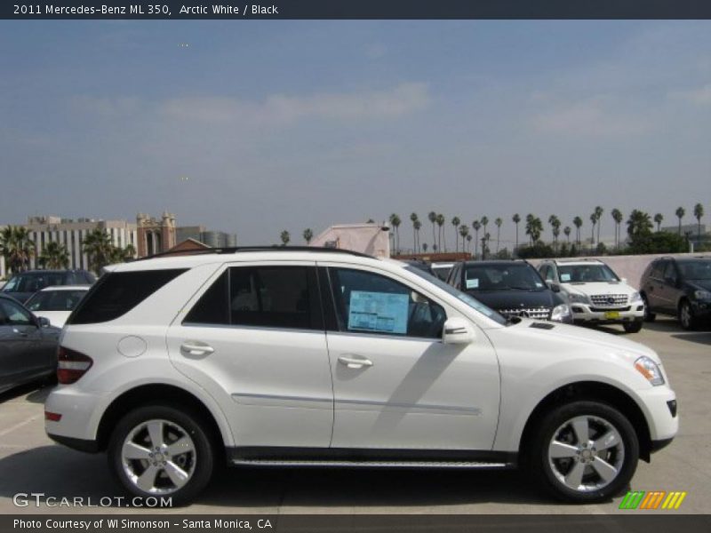 Arctic White / Black 2011 Mercedes-Benz ML 350