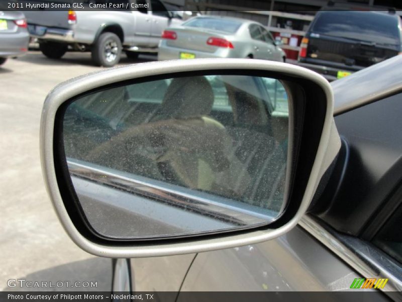 Camel Pearl / Camel 2011 Hyundai Sonata GLS