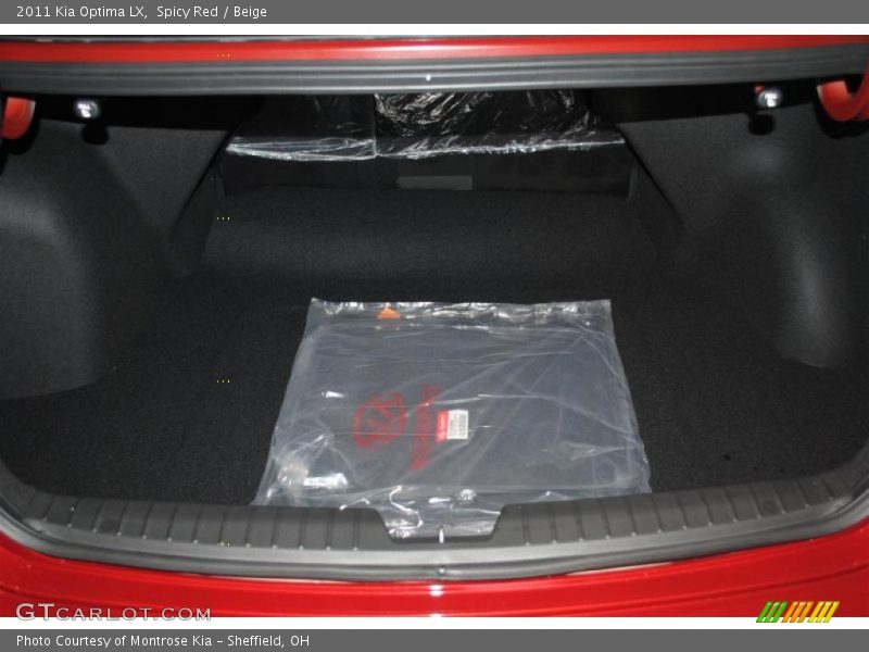 Spicy Red / Beige 2011 Kia Optima LX
