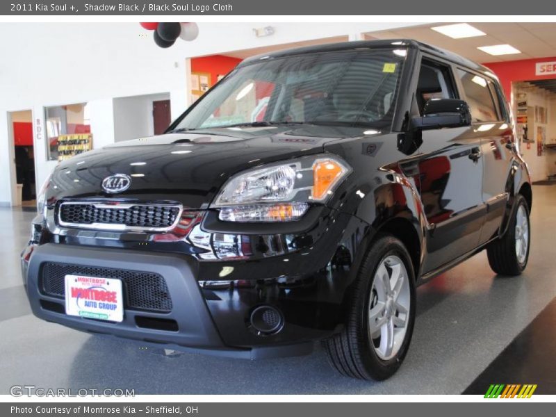 Shadow Black / Black Soul Logo Cloth 2011 Kia Soul +