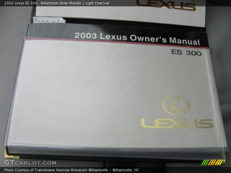 Millennium Silver Metallic / Light Charcoal 2003 Lexus ES 300