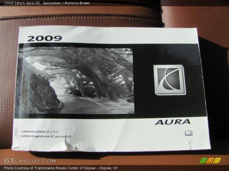 Quicksilver / Morocco Brown 2009 Saturn Aura XR