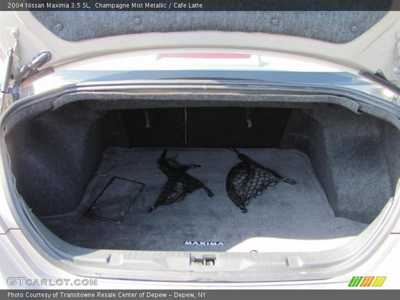 Champagne Mist Metallic / Cafe Latte 2004 Nissan Maxima 3.5 SL