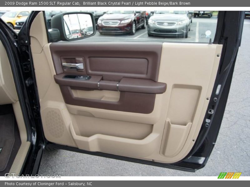 Door Panel of 2009 Ram 1500 SLT Regular Cab