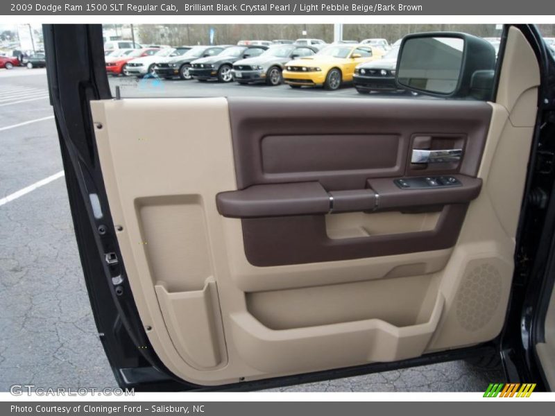 Door Panel of 2009 Ram 1500 SLT Regular Cab