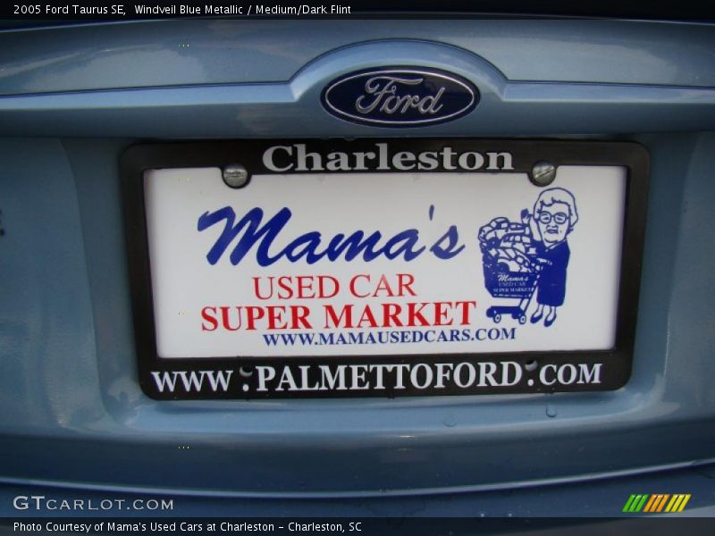 Windveil Blue Metallic / Medium/Dark Flint 2005 Ford Taurus SE