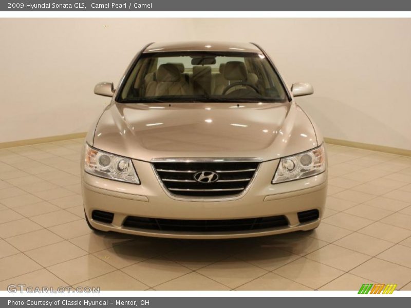 Camel Pearl / Camel 2009 Hyundai Sonata GLS