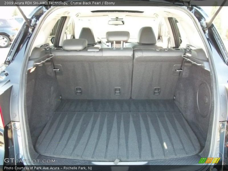  2009 RDX SH-AWD Technology Trunk