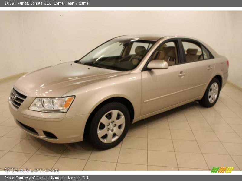 Camel Pearl / Camel 2009 Hyundai Sonata GLS