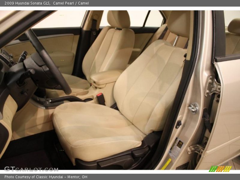 Camel Pearl / Camel 2009 Hyundai Sonata GLS