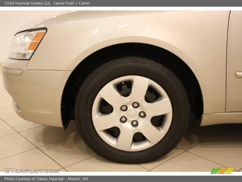 Camel Pearl / Camel 2009 Hyundai Sonata GLS