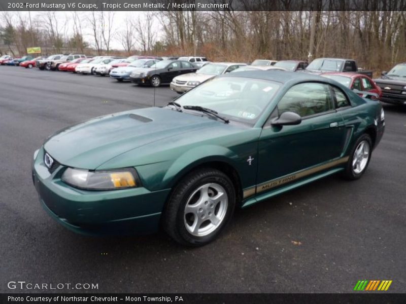 Tropic Green Metallic / Medium Parchment 2002 Ford Mustang V6 Coupe