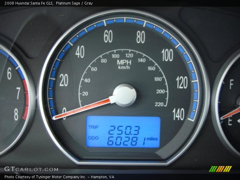 Platinum Sage / Gray 2008 Hyundai Santa Fe GLS