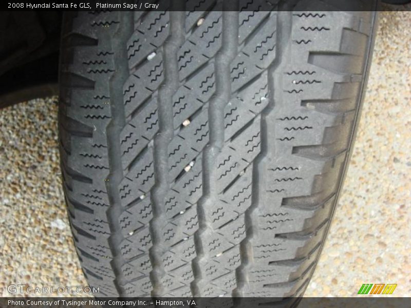 Platinum Sage / Gray 2008 Hyundai Santa Fe GLS