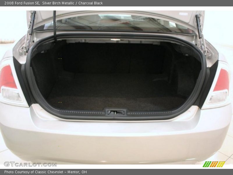 Silver Birch Metallic / Charcoal Black 2008 Ford Fusion SE
