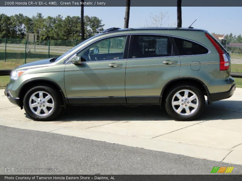 Green Tea Metallic / Ivory 2008 Honda CR-V EX-L 4WD