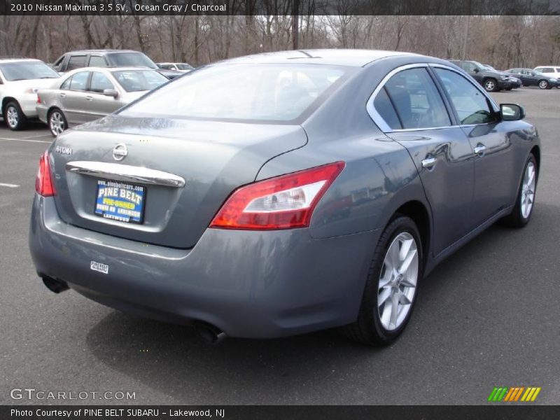 Ocean Gray / Charcoal 2010 Nissan Maxima 3.5 SV
