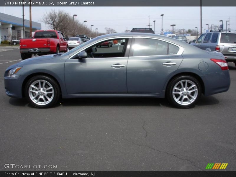 Ocean Gray / Charcoal 2010 Nissan Maxima 3.5 SV
