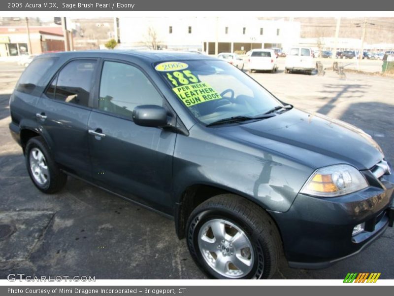 Sage Brush Pearl / Ebony 2005 Acura MDX