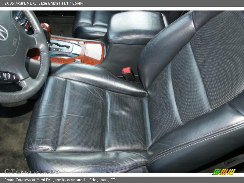 Sage Brush Pearl / Ebony 2005 Acura MDX