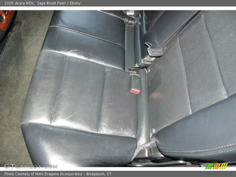 Sage Brush Pearl / Ebony 2005 Acura MDX