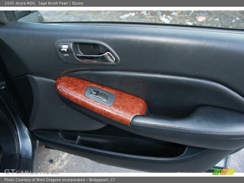 Sage Brush Pearl / Ebony 2005 Acura MDX