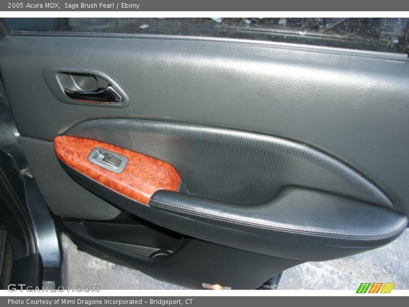Sage Brush Pearl / Ebony 2005 Acura MDX