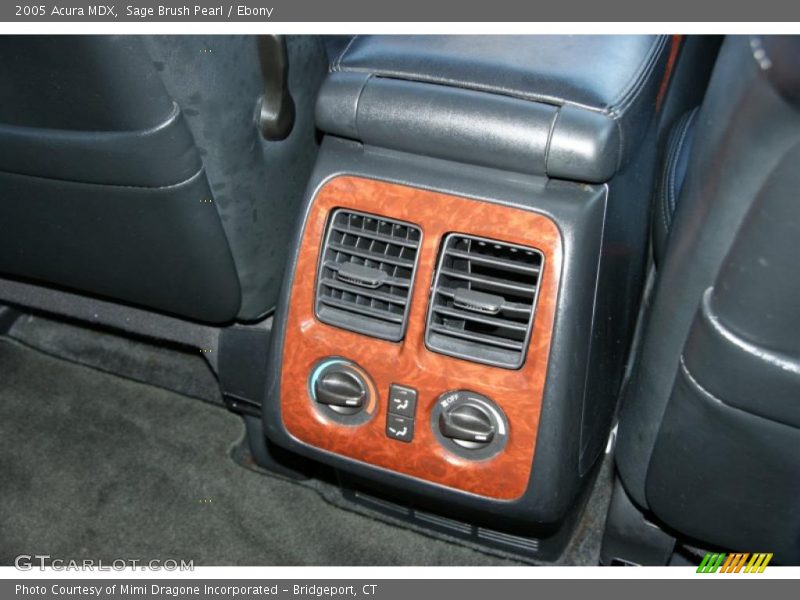 Sage Brush Pearl / Ebony 2005 Acura MDX