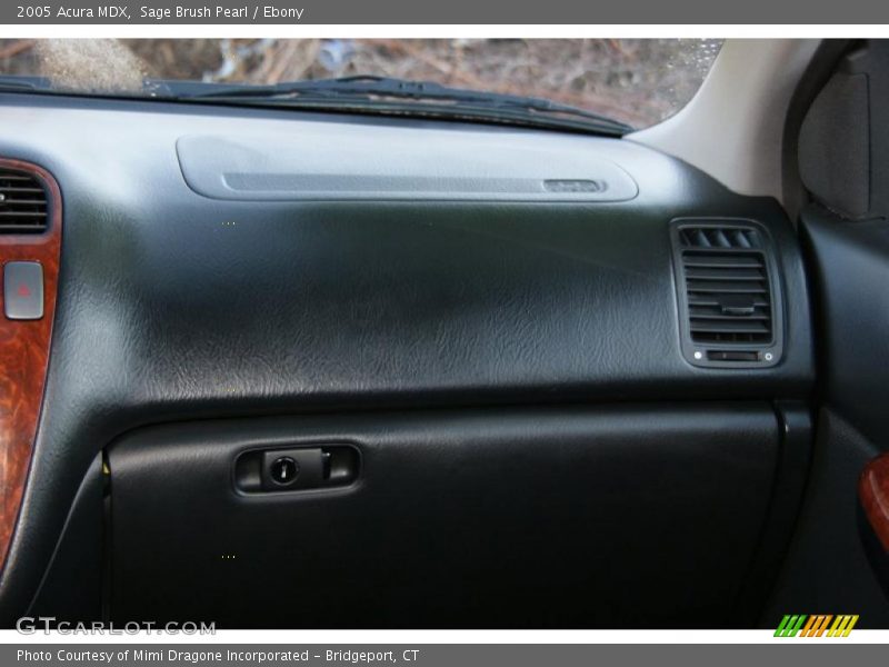 Sage Brush Pearl / Ebony 2005 Acura MDX